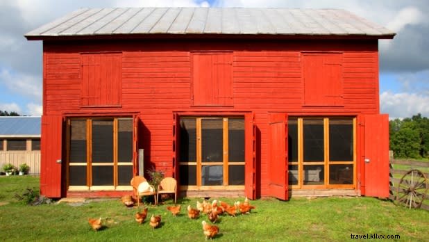 Discover 12 Exceptional Farmstays Across New York State