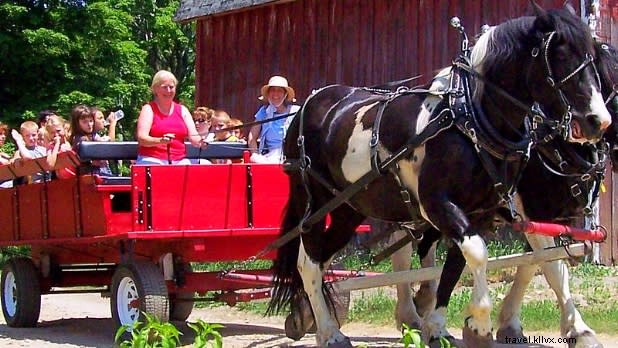 Discover 12 Exceptional Farmstays Across New York State