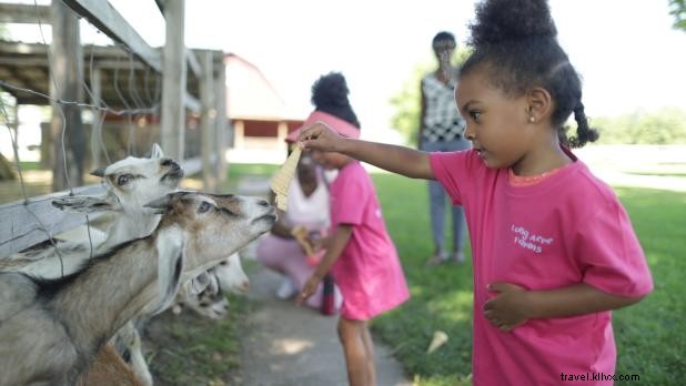 8 Unforgettable Family Trips Across New York State: Adventures, Culture & Cuisine