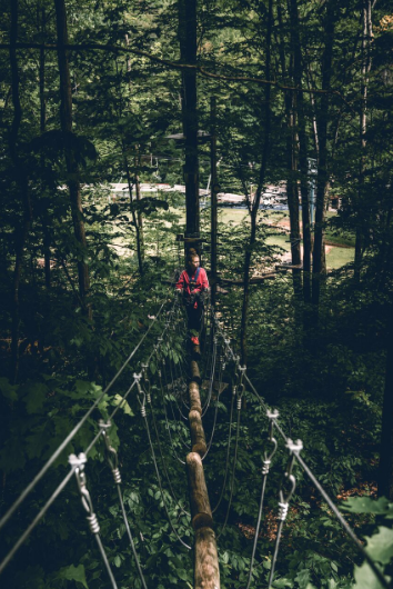 8 Unforgettable Family Trips Across New York State: Adventures, Culture & Cuisine