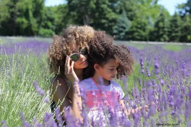 8 Unforgettable Family Trips Across New York State: Adventures, Culture & Cuisine