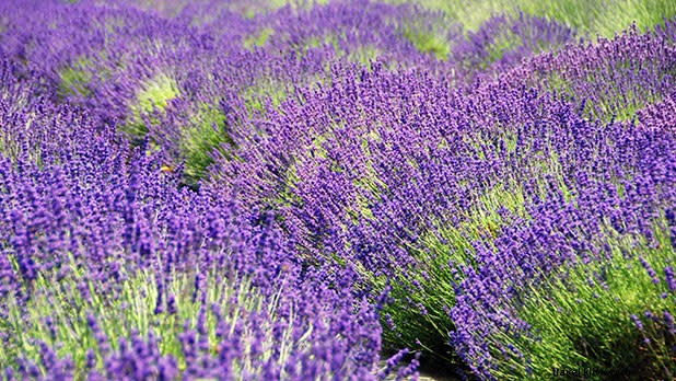 6 Ultimate Parent Getaways Near New York Summer Camps