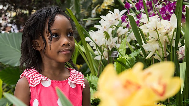 Explore New York State Museums: Week 2 – Long Island s Sagamore Hill & NYC Hidden Gems