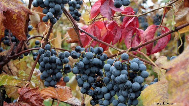 11 Spooky Halloween Costume Ideas Inspired by New York City s Icons and Ghosts