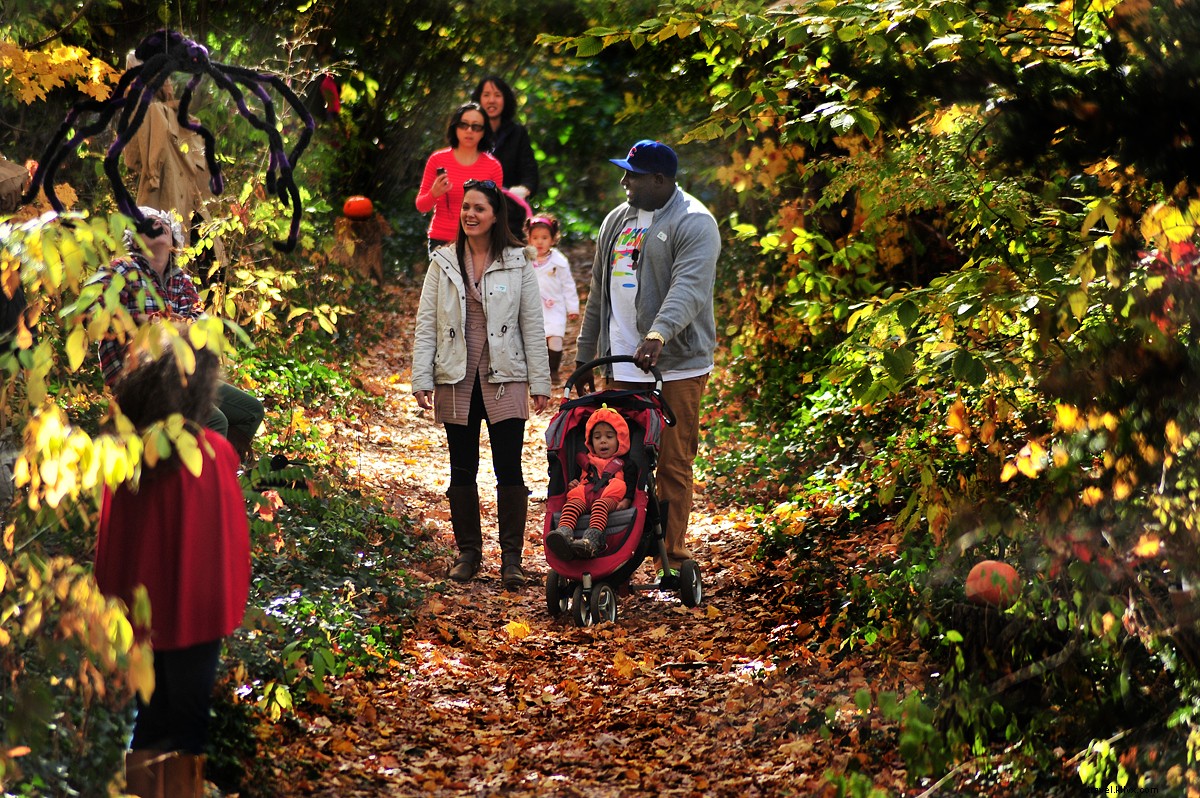 Top Family Fun Activities for Kids & Parents in Westchester, NY