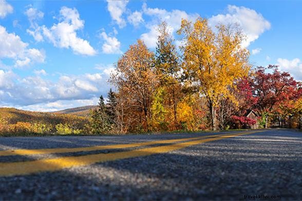 Ultimate Kid-Friendly Fall Road Trip in New York: Buffalo to Rochester Family Adventure