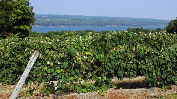 Top Wheelchair-Accessible Attractions and Activities in New York State