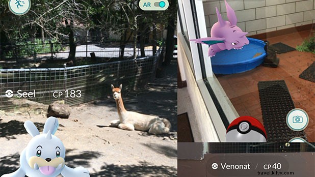 Top Pokémon GO Hotspots in New York State: Catch  Em All Guide