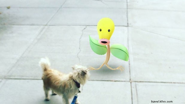 Top Pokémon GO Hotspots in New York State: Catch  Em All Guide