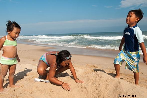 11 Free Family Activities for Kids Across New York State