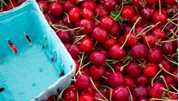 Top 10 Must-Visit Farmers  Markets in New York State