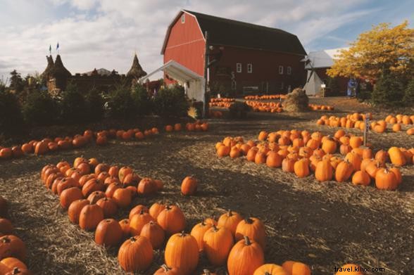 48 Hours of Unforgettable Family Adventures in New York s Finger Lakes