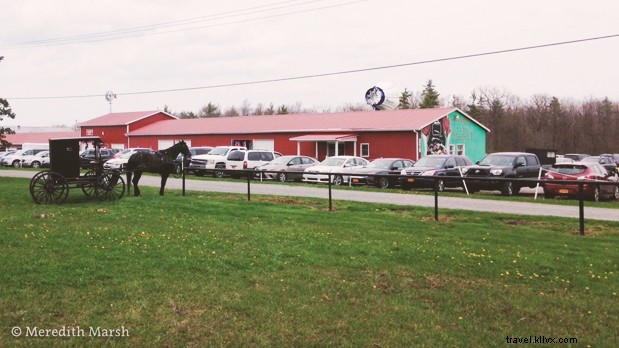 48 Hours of Unforgettable Family Adventures in New York s Finger Lakes