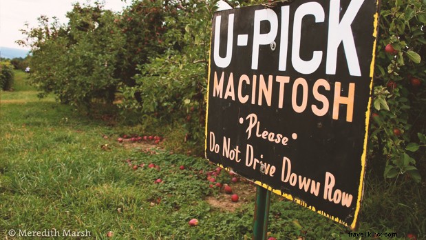 48 Hours of Unforgettable Family Adventures in New York s Finger Lakes