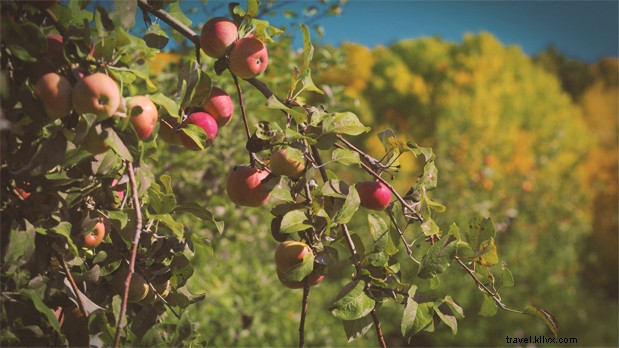 Ultimate 48-Hour Fall Escape: Hudson Valley & Catskills Itinerary