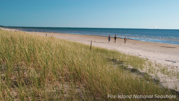 Discover the Best Summer Activities in New York State: Beaches, Lakes & Campgrounds