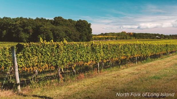 Discover the Best Summer Activities in New York State: Beaches, Lakes & Campgrounds