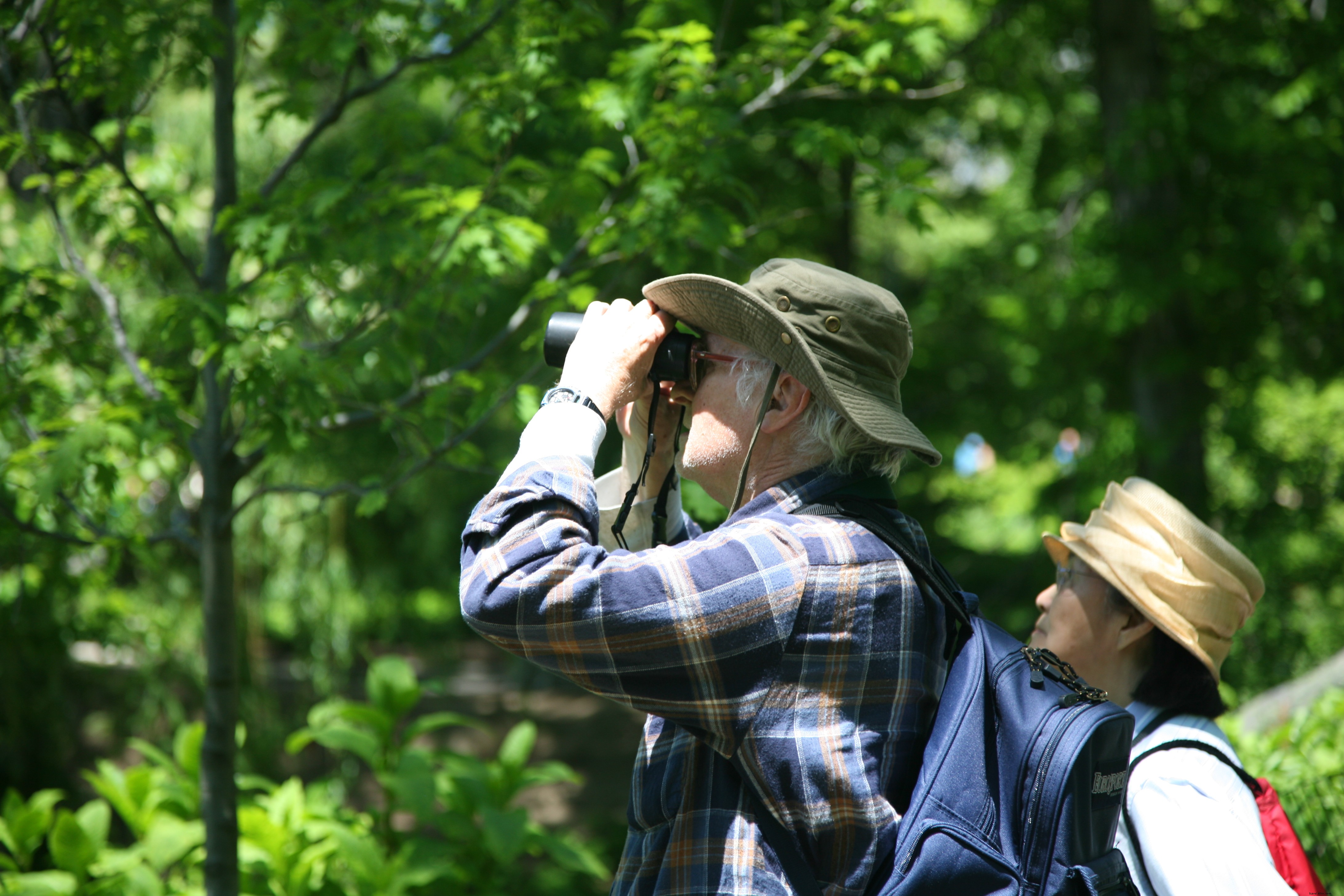Discover New York s Thriving Spring Wildlife: Top Viewing Spots