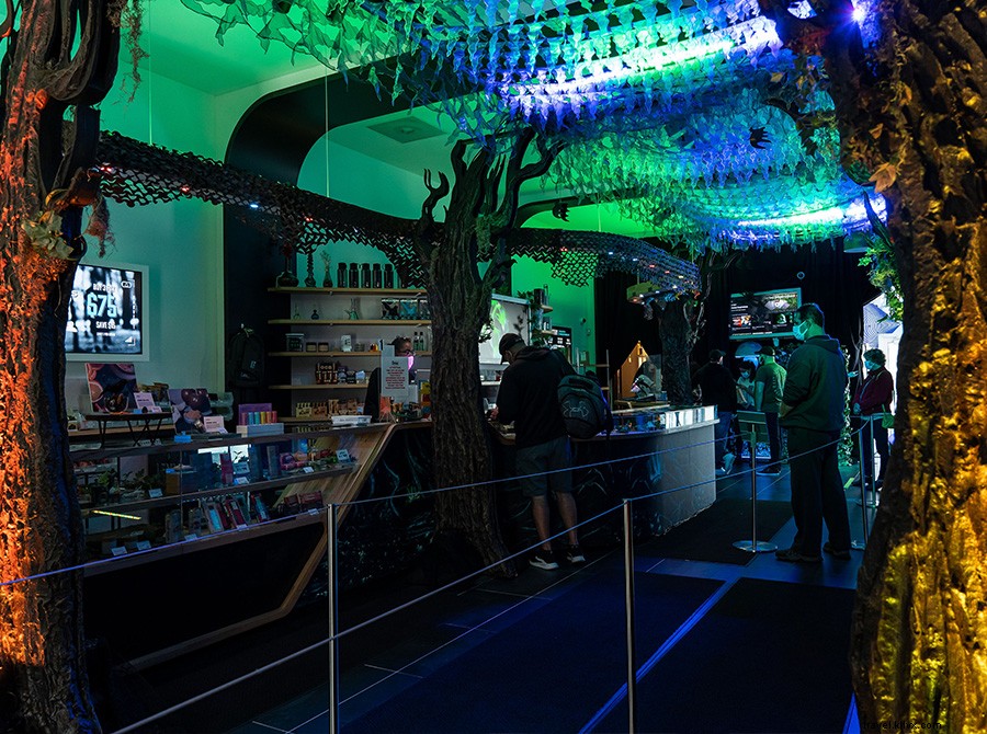 Insa s Haunted Harvest: Celebrating Halloween s Roots in Healing and Witchcraft All October