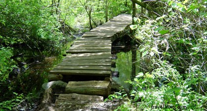 10 Essential Tips for a Sustainable, Eco-Friendly Visit to Salem, Massachusetts