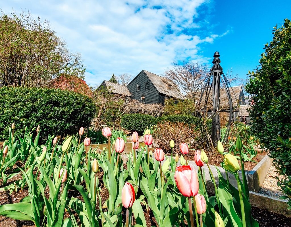 Ultimate Summer Day Trip Itinerary: Explore Salem, Massachusetts