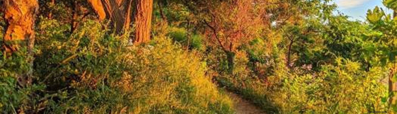 Salem, Massachusetts: Native American History and Indigenous Land Acknowledgment