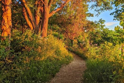 Salem, Massachusetts: Native American History and Indigenous Land Acknowledgment