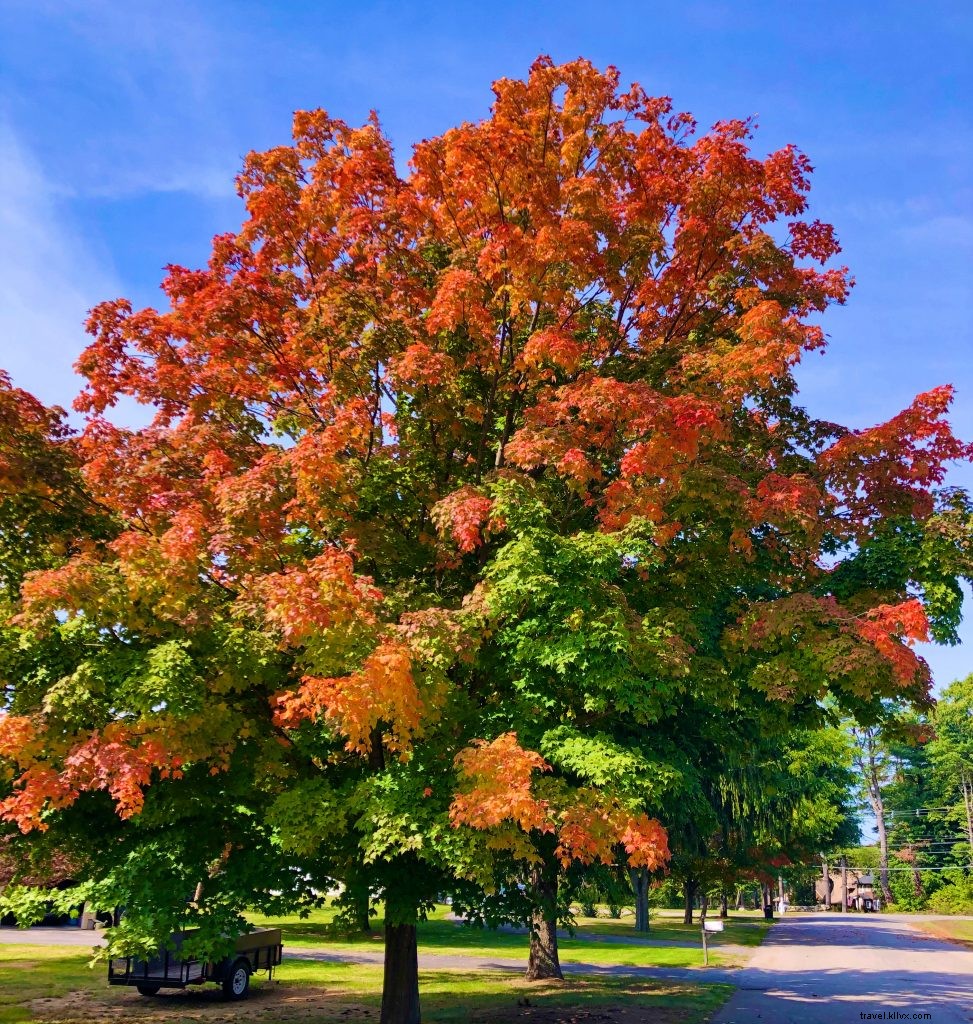 Explore Fall Fun Beyond Salem: Safe North of Boston Adventures