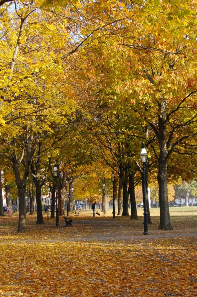 Discover Salem s October Magic: Navigating COVID Safety Guidelines