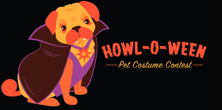 Experience Salem, MA s Halloween Magic Virtually This October