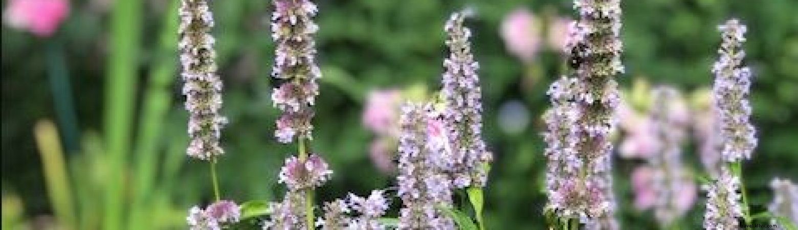 Sideways Salem: A Local s Insider Guide to Hidden Gems and Iconic Spots