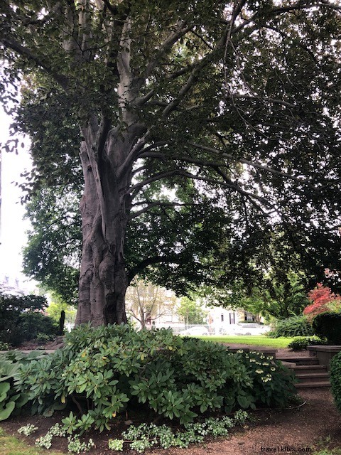 Sideways Salem: A Local s Insider Guide to Hidden Gems and Iconic Spots