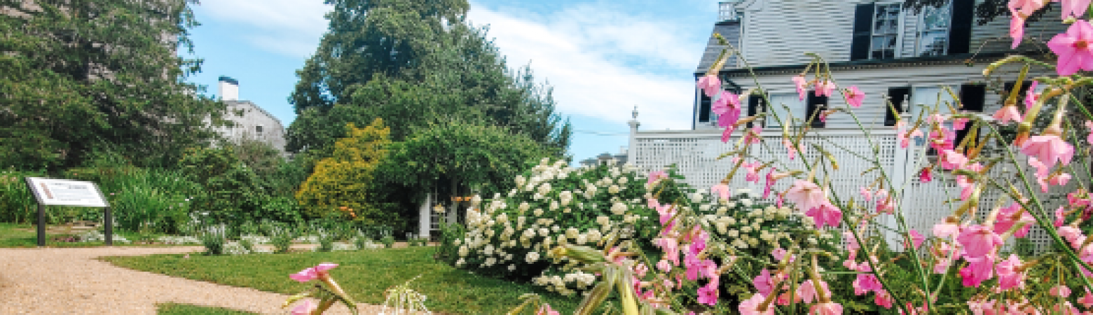 Discover 3 Must-Visit Gardens in Historic Salem, Massachusetts