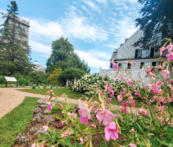 Discover 3 Must-Visit Gardens in Historic Salem, Massachusetts