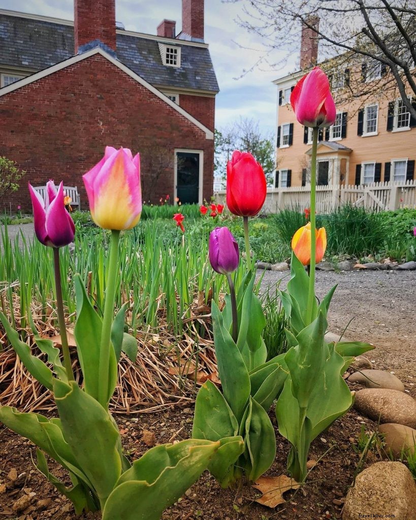 Discover 3 Must-Visit Gardens in Historic Salem, Massachusetts