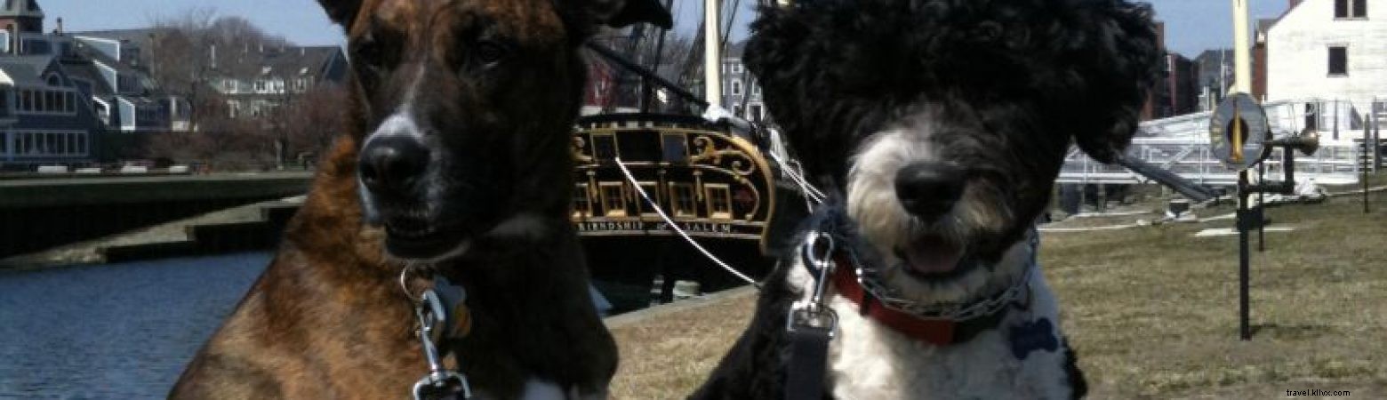 Pet-Friendly Salem, MA: Top Hotels, Dining & Attractions Guide