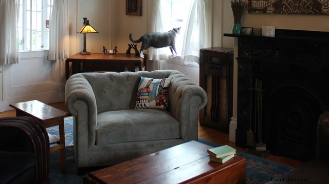 Pet-Friendly Salem, MA: Top Hotels, Dining & Attractions Guide