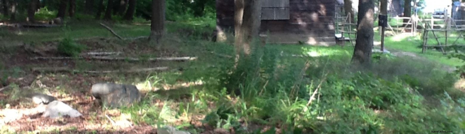 Discover 5 Must-Visit Green Spaces in Salem, Massachusetts