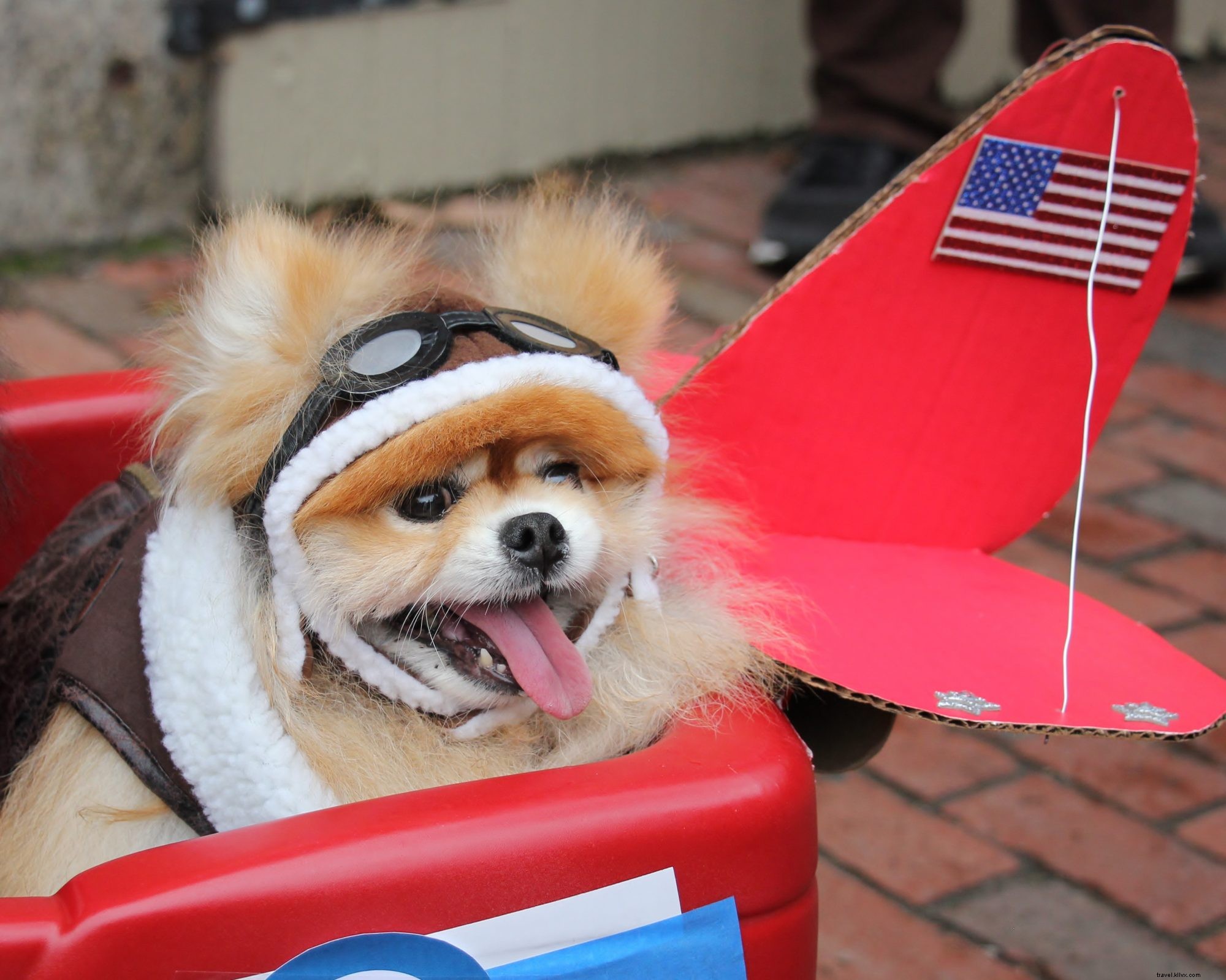 10 Must-Know Facts About Salem, Massachusetts: Your Ultimate Guide