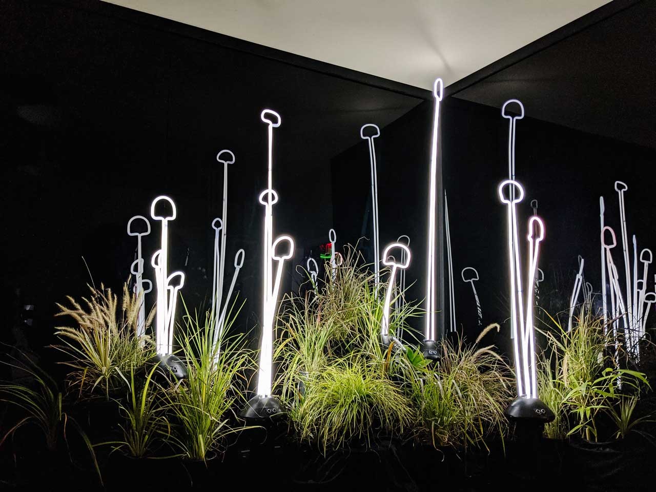 Discover Seattle s Glass Art Hub: 48-Hour Refract Festival Itinerary