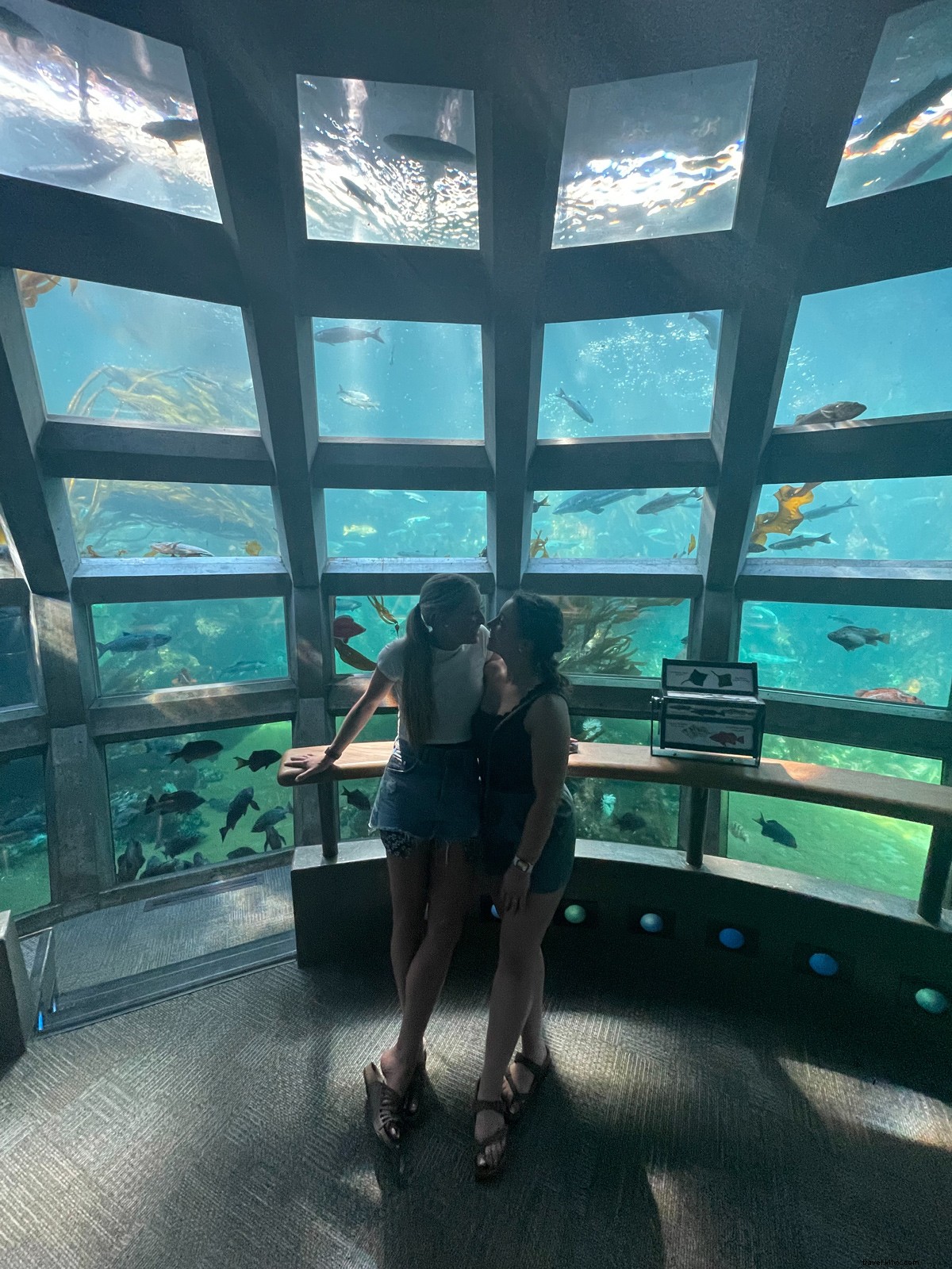 Romantic Seattle Weekend Getaway: A Couple s Guide to Iconic Sights & Cozy Escapes