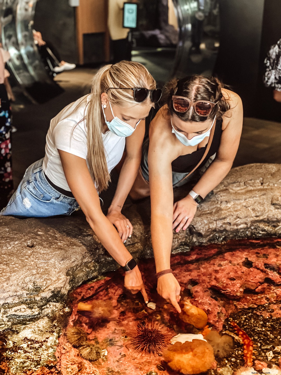 Romantic Seattle Weekend Getaway: A Couple s Guide to Iconic Sights & Cozy Escapes