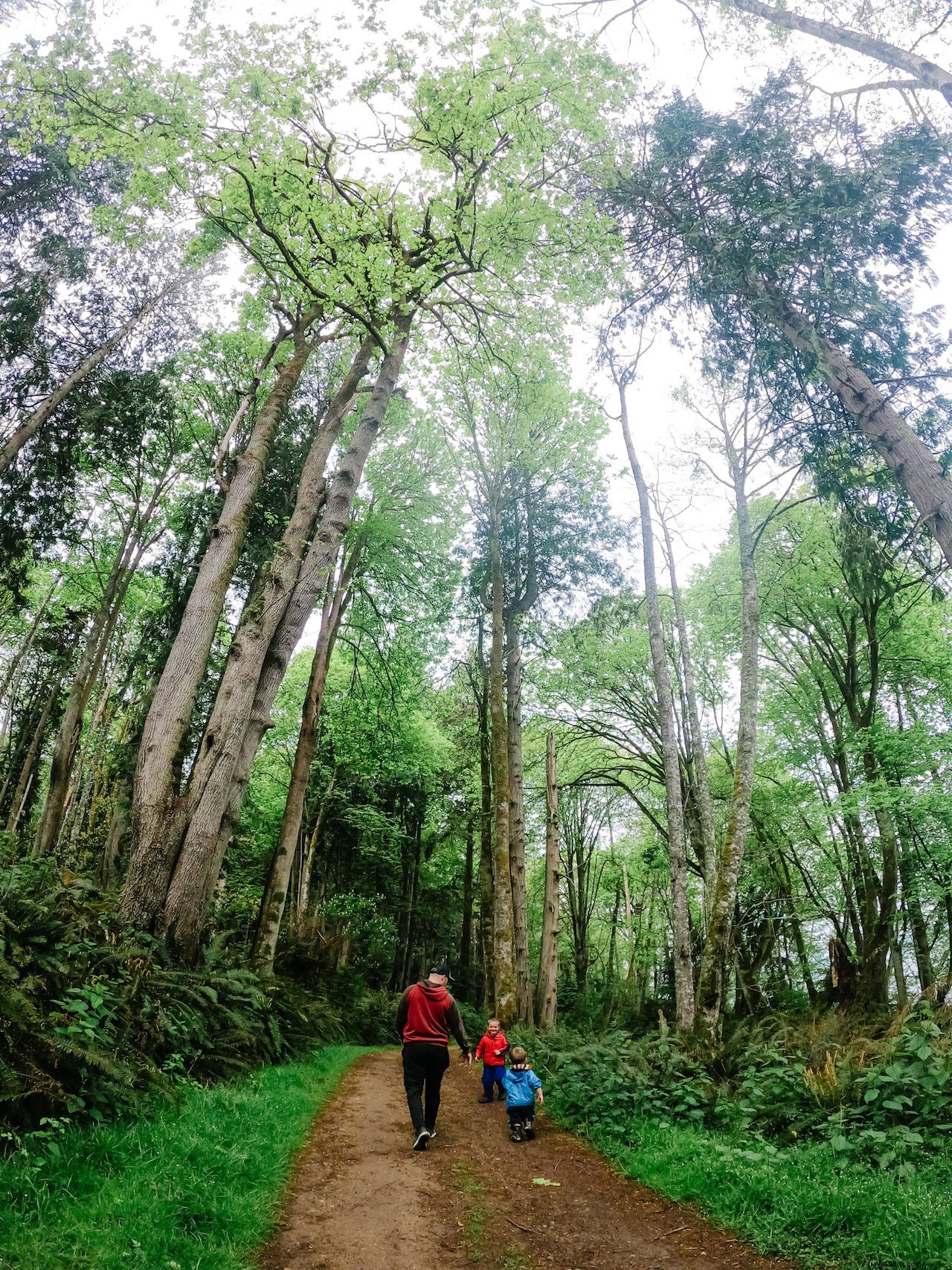 Seattle Weekend Family Adventure: Pioneer Square & Waterfront with Kids