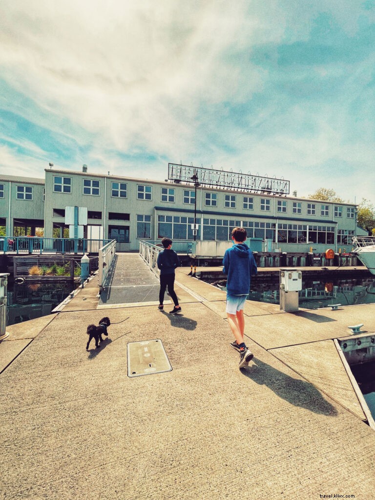 Discover Seattle s Hidden Gems: Insider Tips from @helloterumi