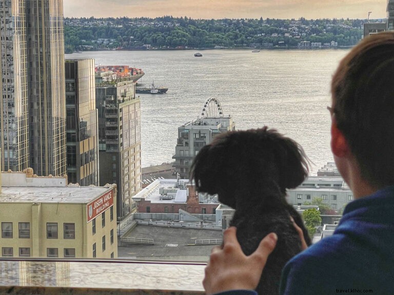 Discover Seattle s Hidden Gems: Insider Tips from @helloterumi