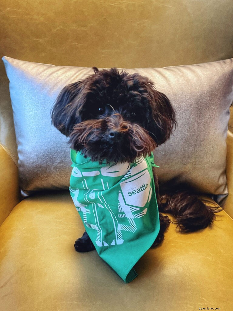 Discover Seattle s Hidden Gems: Insider Tips from @helloterumi