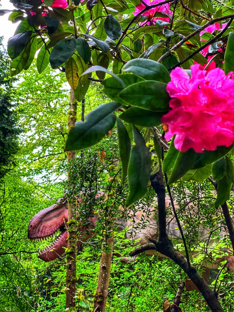 Discover Seattle s Hidden Gems: Insider Tips from @helloterumi