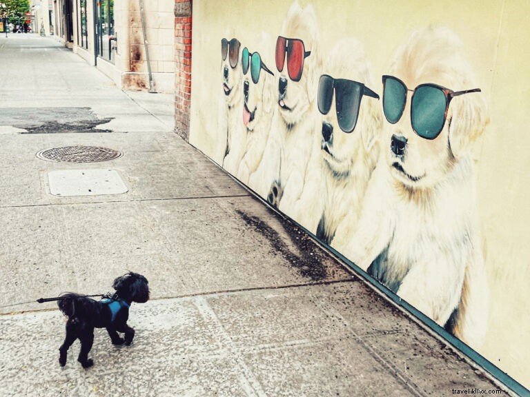 Discover Seattle s Hidden Gems: Insider Tips from @helloterumi