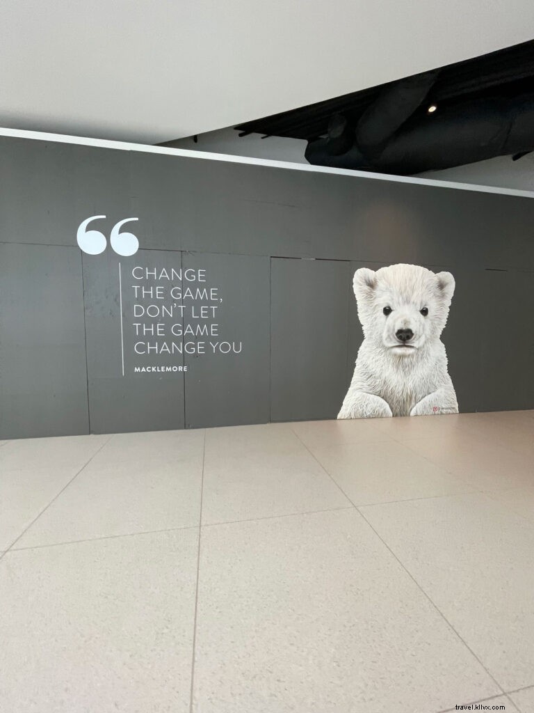 Discover Seattle s Hidden Gems: Insider Tips from @helloterumi