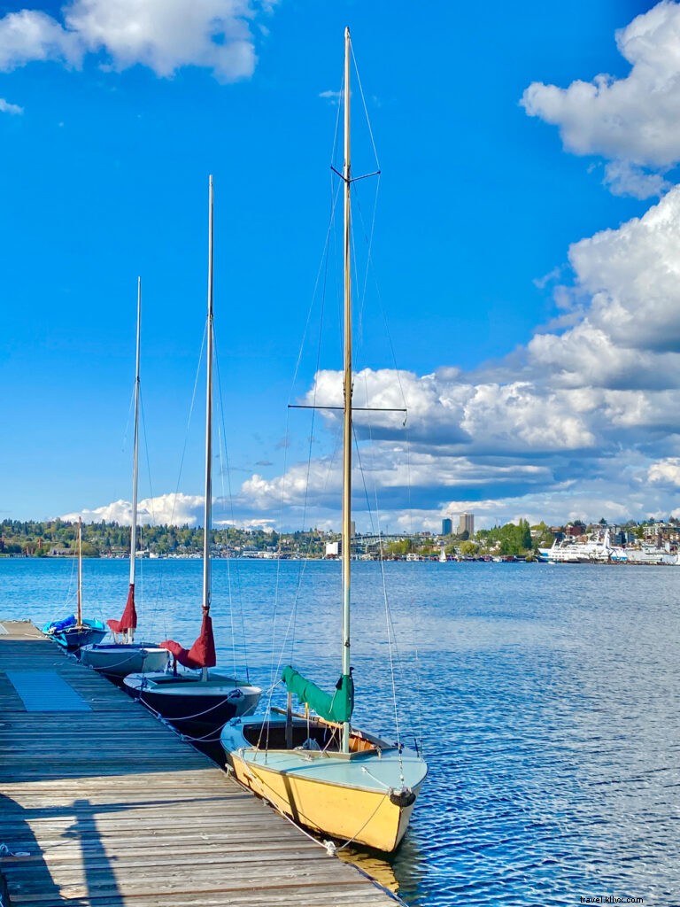 Discover Seattle s Hidden Gems: Insider Tips from Seattle Maven Ann Peavey